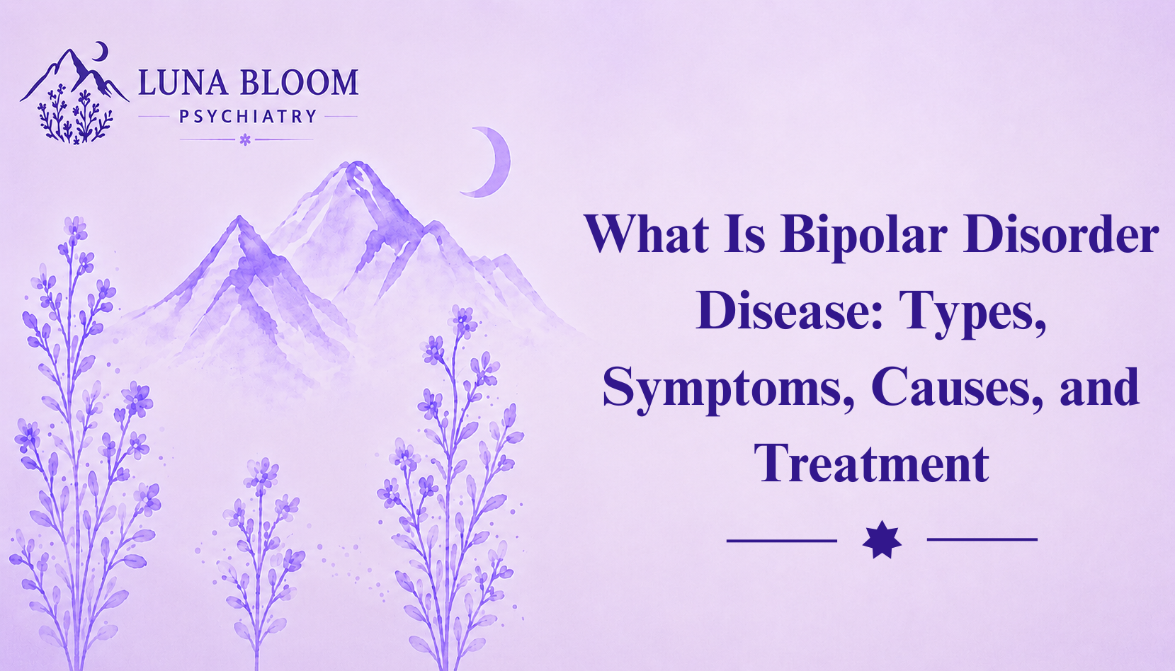 What Is Bipolar Disorder Disease: Types, Symptoms, Causes, and Treatment